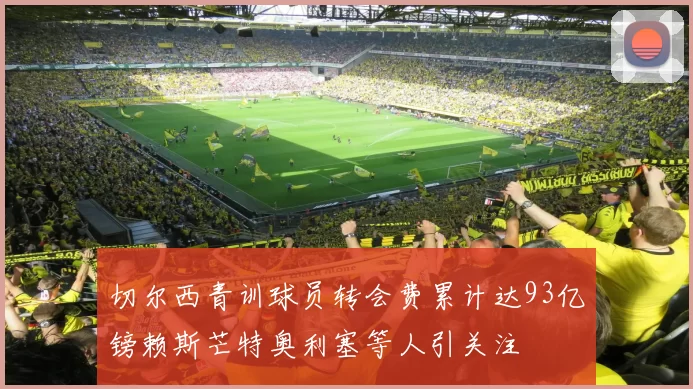 切尔西青训球员转会费累计达93亿镑赖斯芒特奥利塞等人引关注